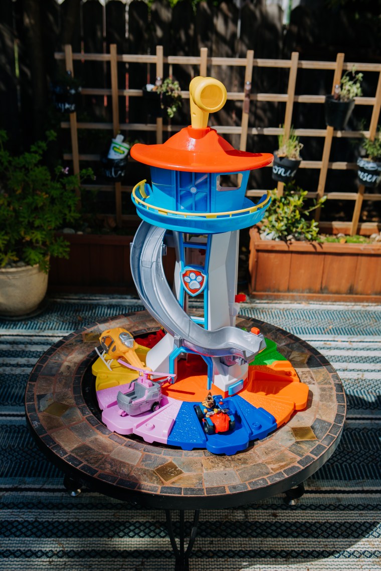 Paw Patrol Birthday Party (1)