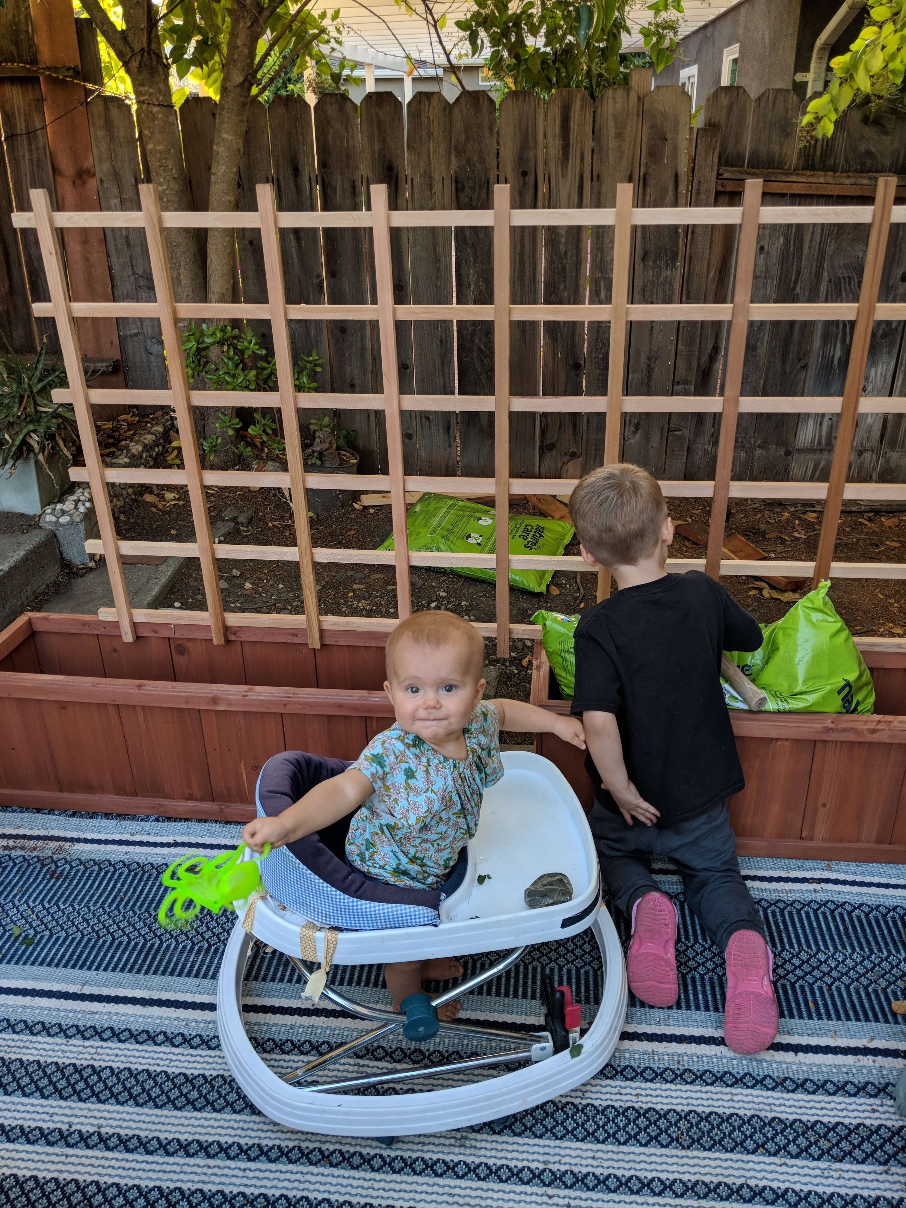 MVIMG_20181102_171620